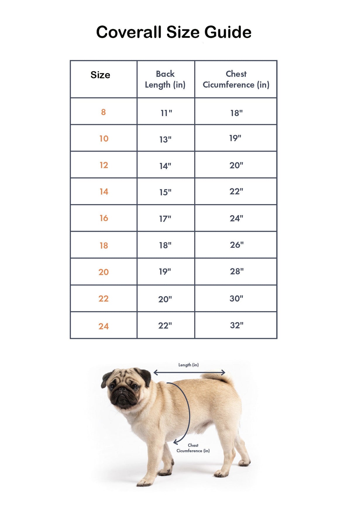 Nylon-Overall