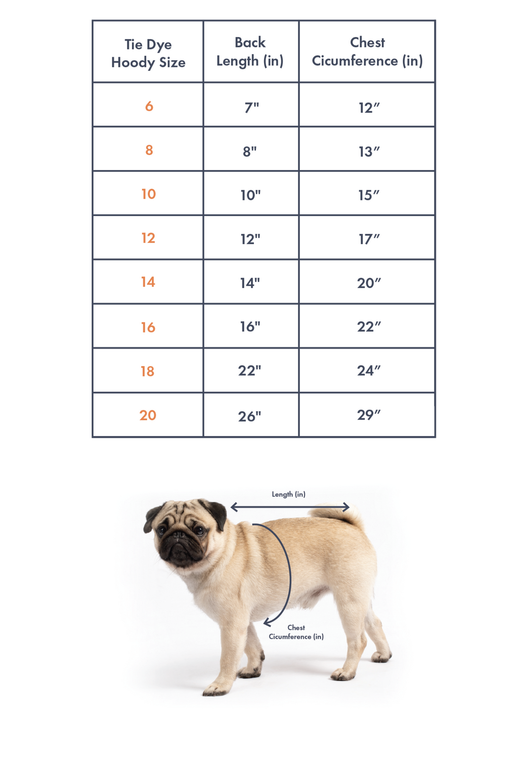 dog size chart