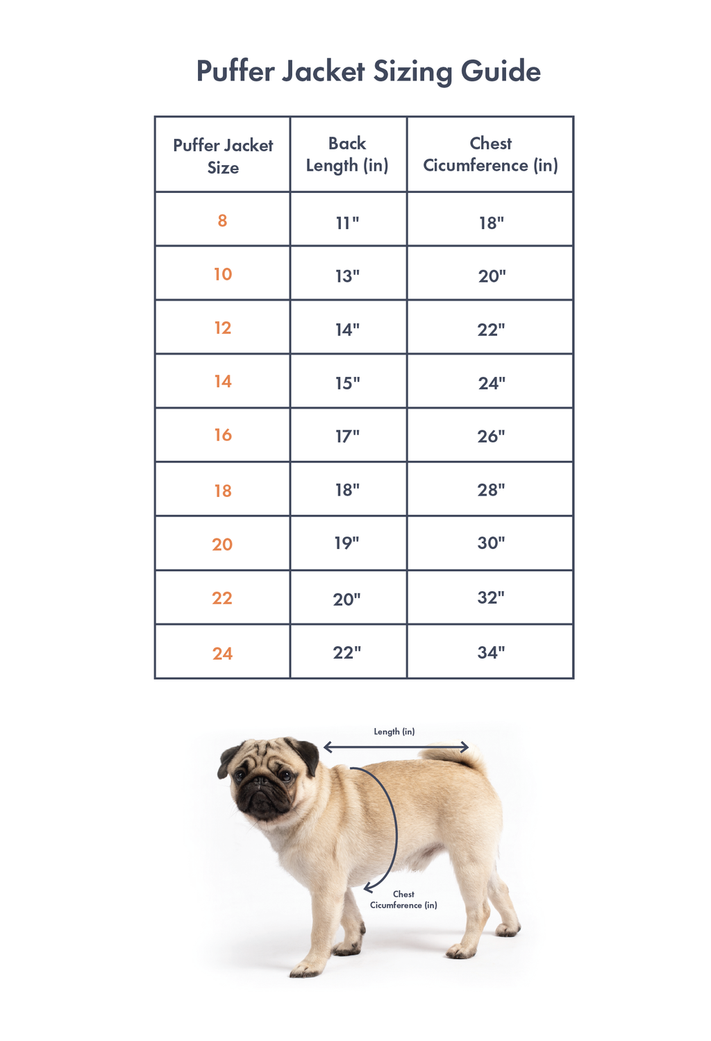A size chart showing the different sizes and measurements for VPawV Puffer Jackets. The sizes range from size 8 to size 24, and the measurements include back length and chest circumference in inches.
