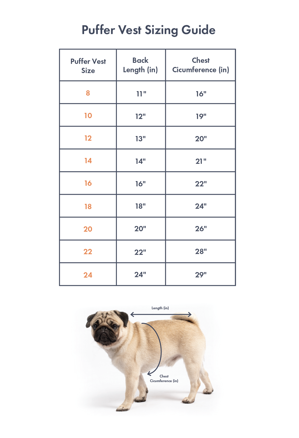 Dog size chart